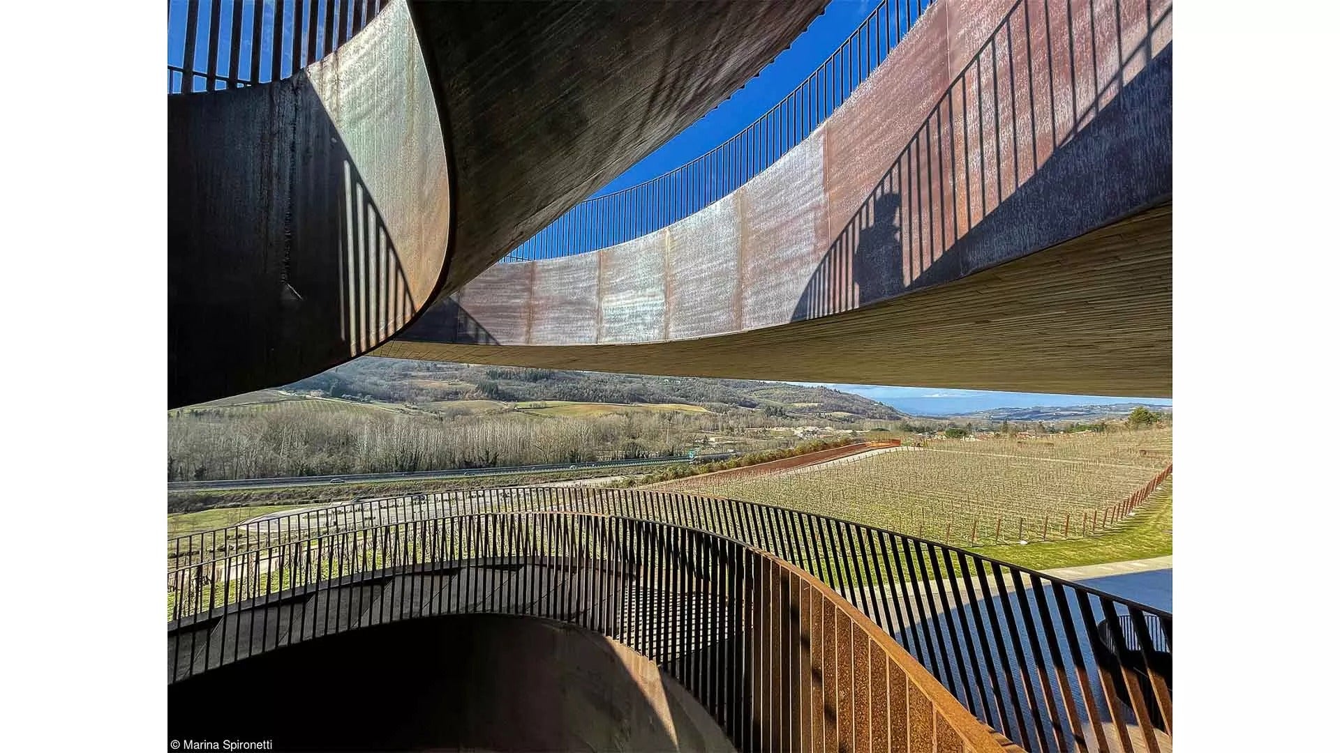 vineyard, Antinori nel Chianti Classico winery