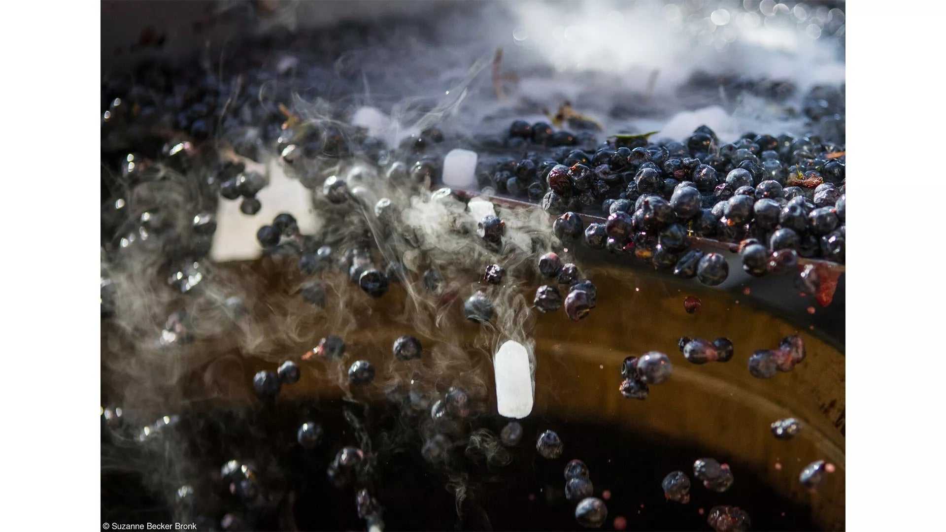 ​​​​​​​Dry ice used to inhibit the start of fermentation in a vineyard