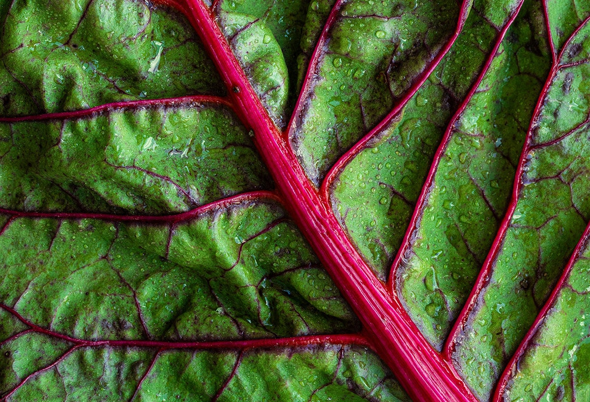Leafy greens