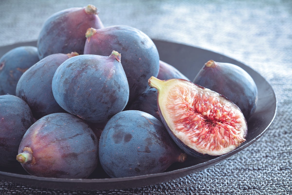 Black Mission figs