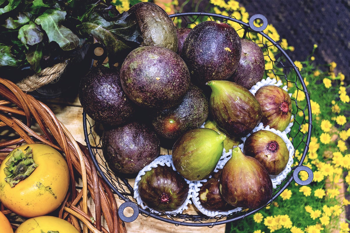 Brown Turkey figs