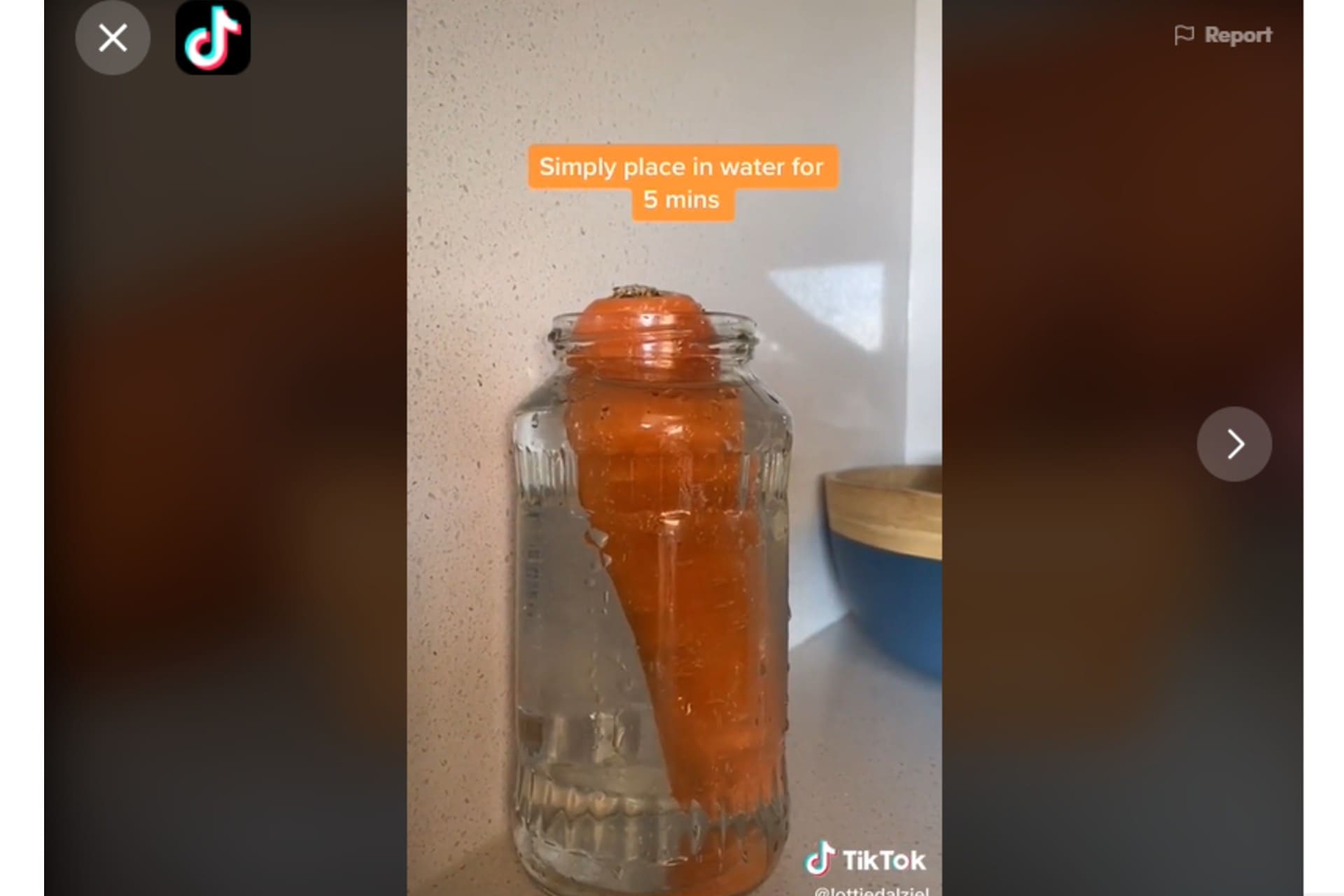 Carrot tik tok