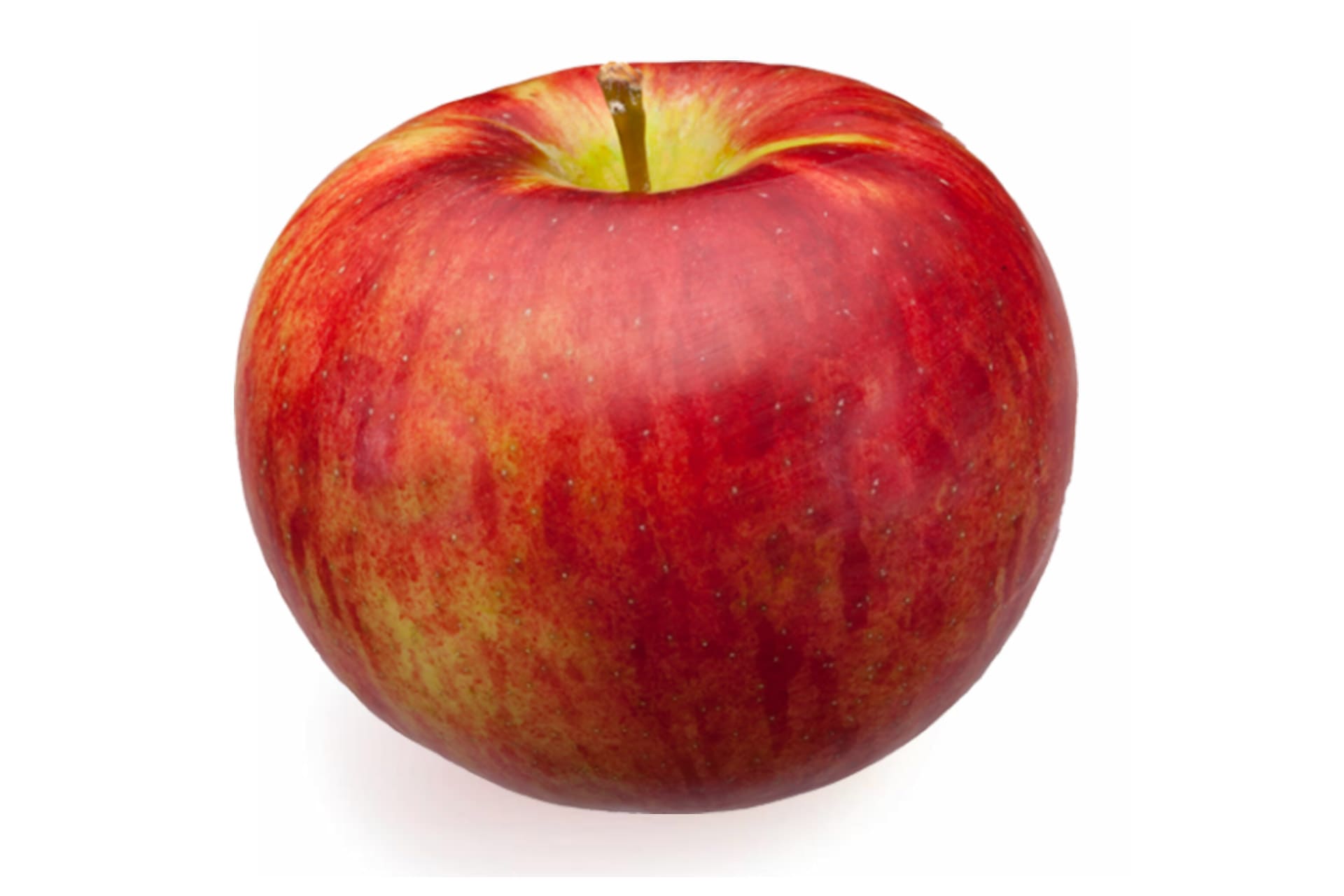 cortland apple