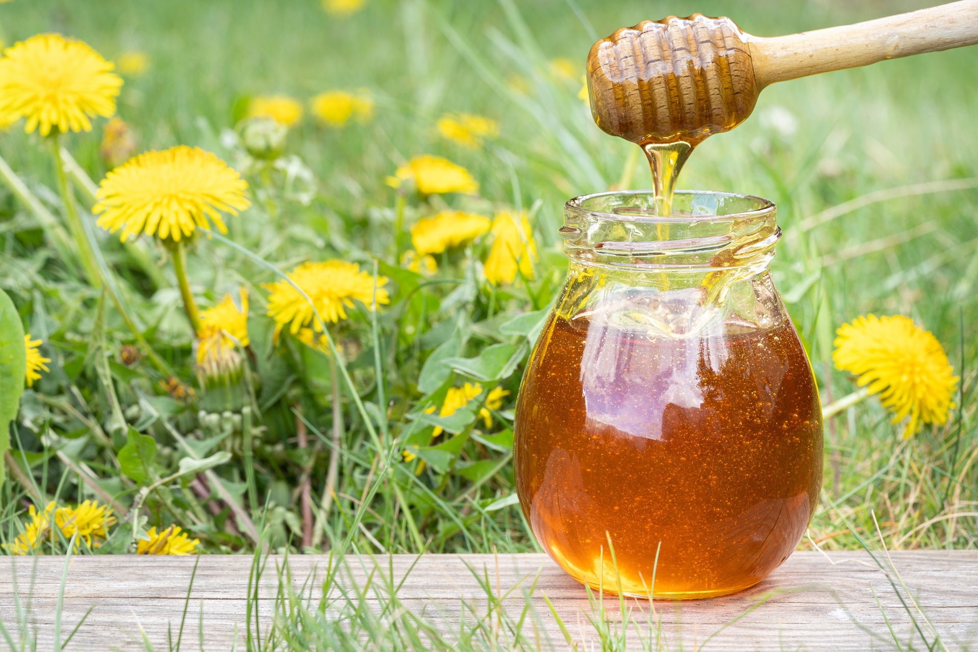 a jar of dandelion honey infront of a field of dandelions