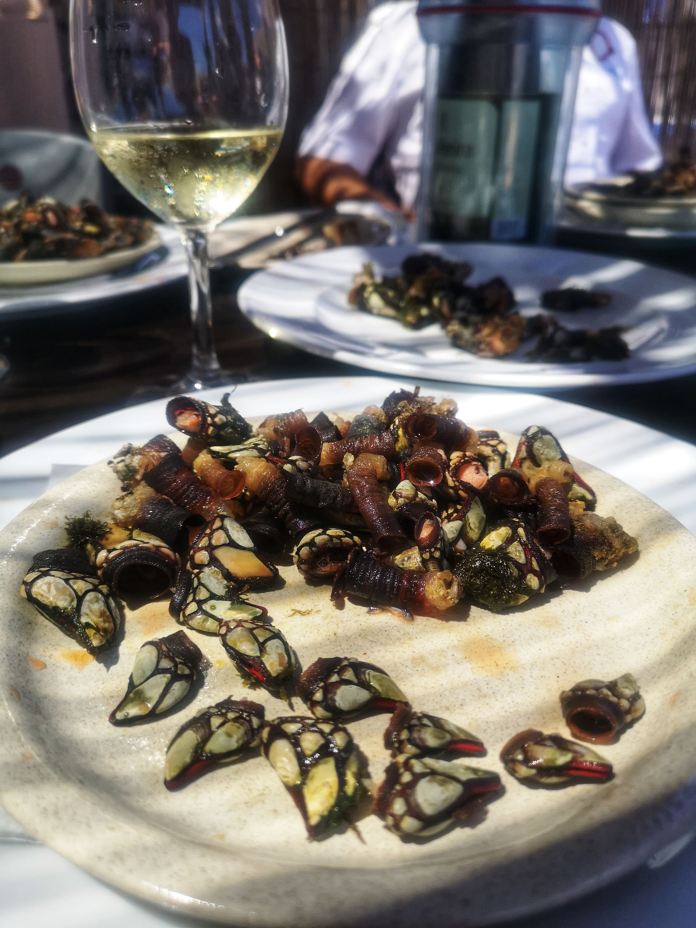 goose-barnacles-plate-table-glass-wine
