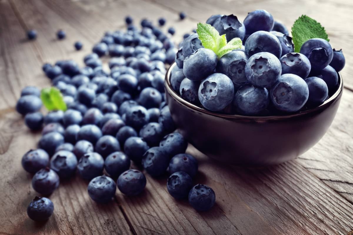 Bowl full of juicy and flavourful Blueberries ripening in late spring