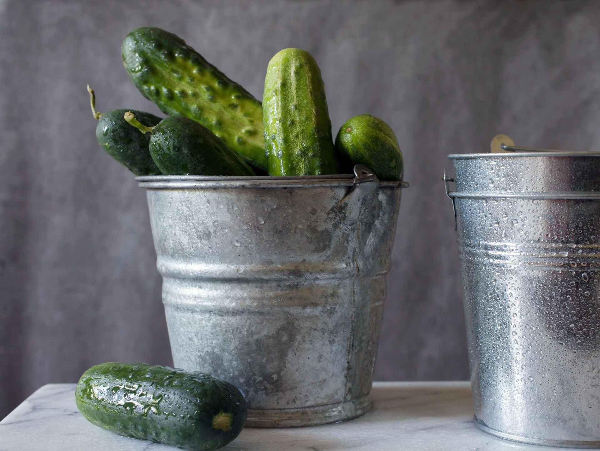 small kirby cucumbers sticking out of a metal bucket