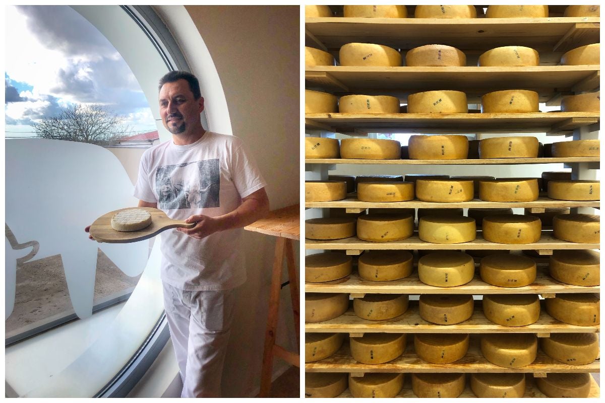 a cheesemaker and stacks of ageing cheese