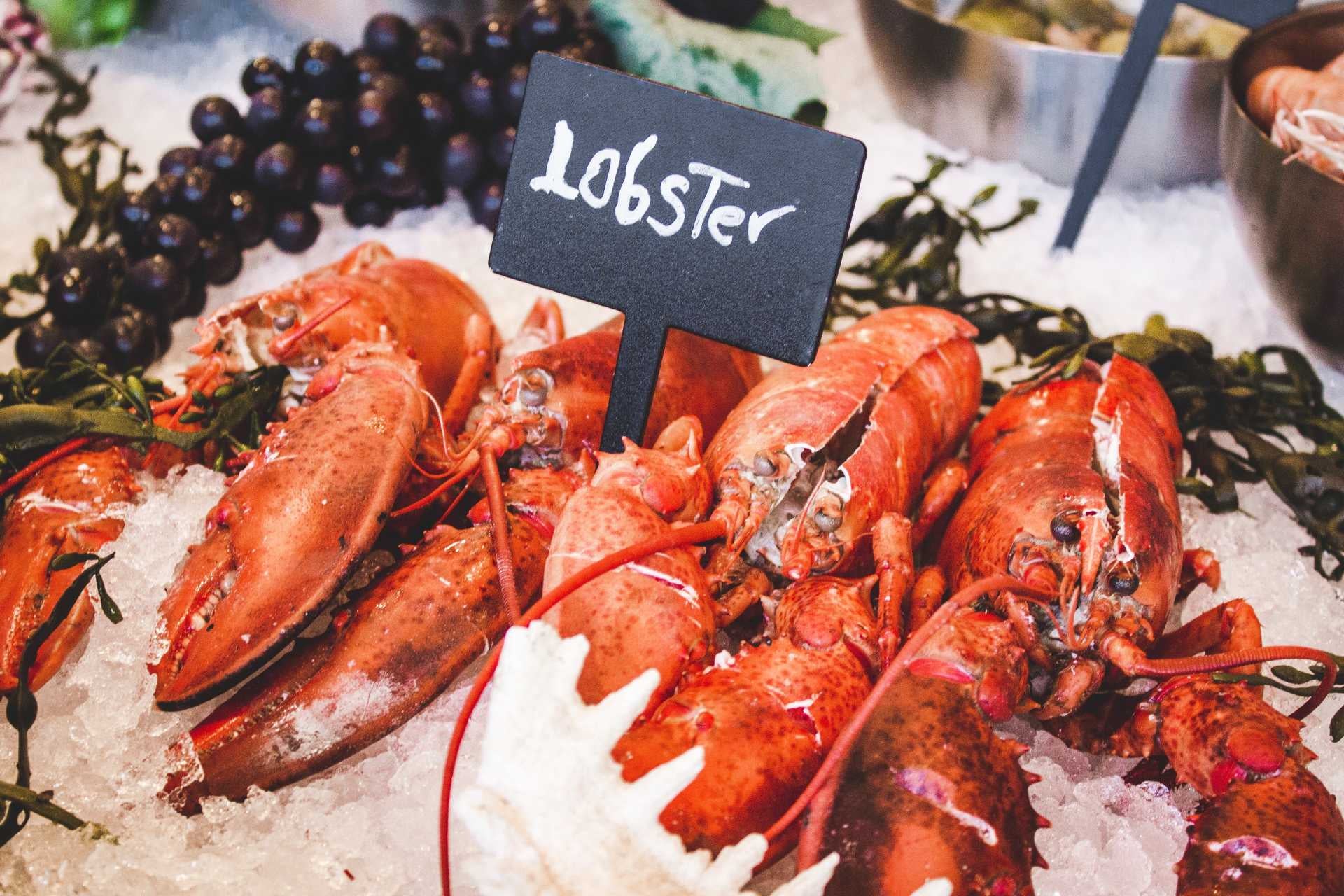 Lobster