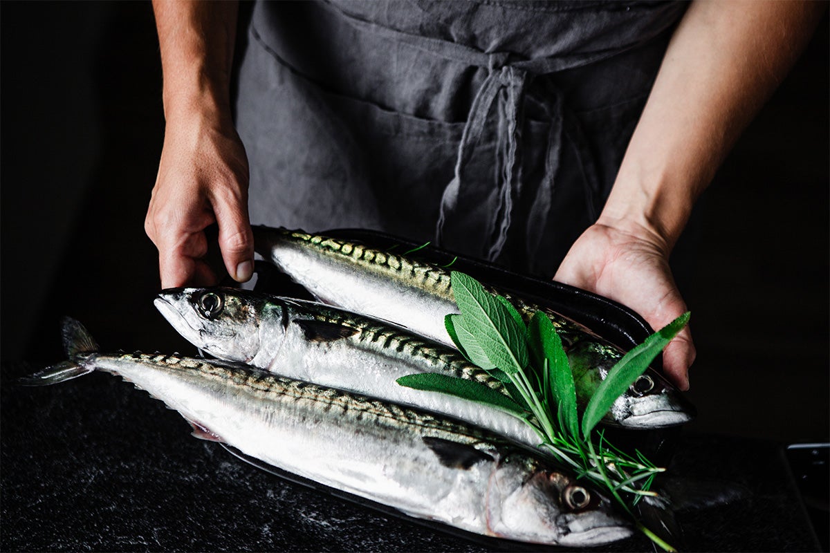 Mackerel