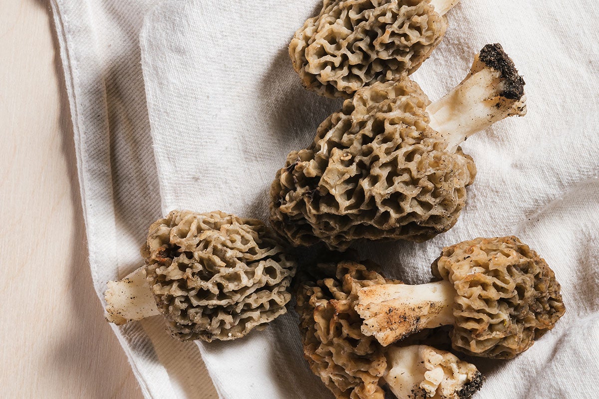 Morel mushrooms.