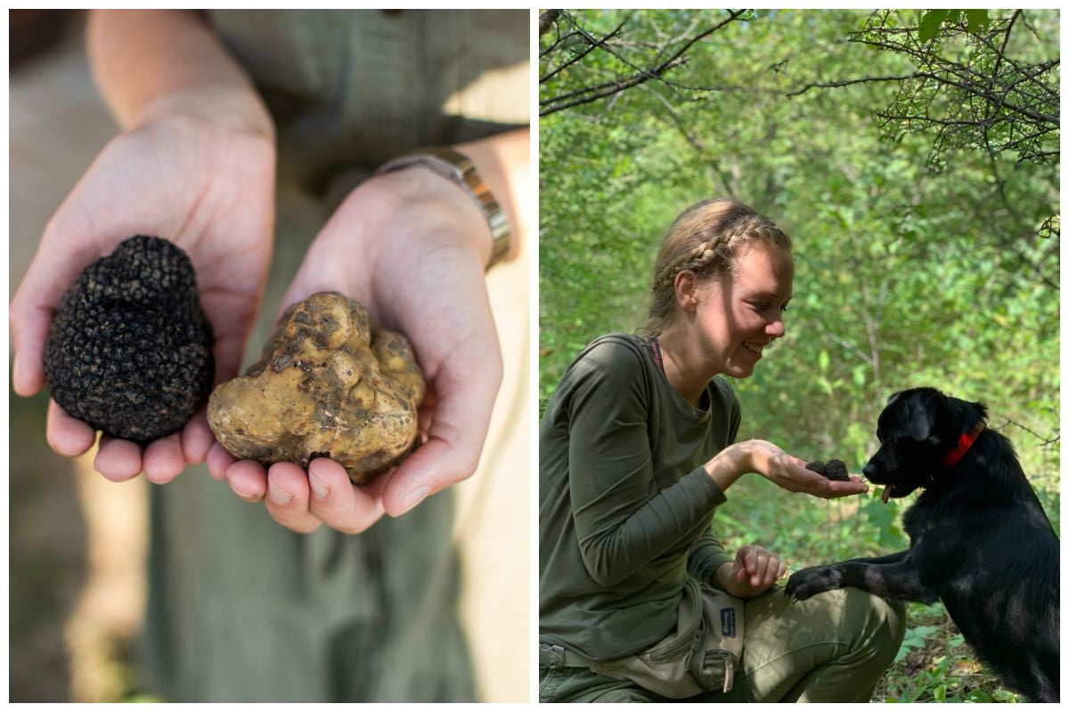 a truffle hunter and dog