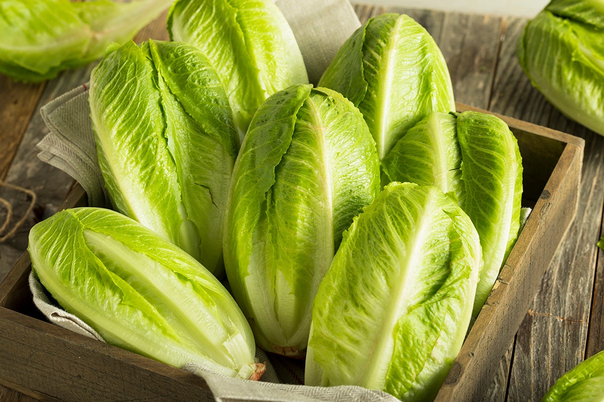 Romaine lettuce.