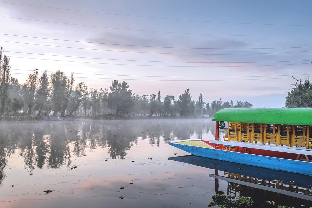 Xochimilco_in_Mexico_City