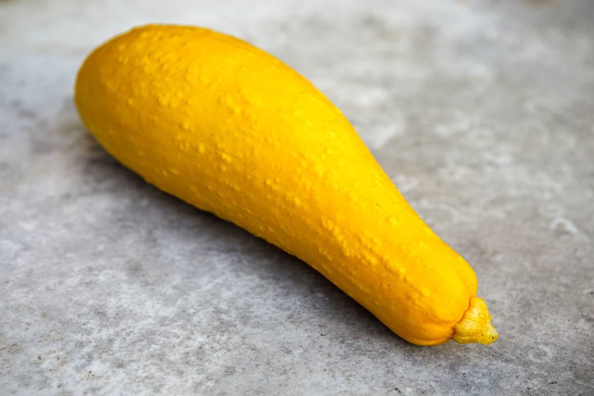Single yellow summer squash on the table