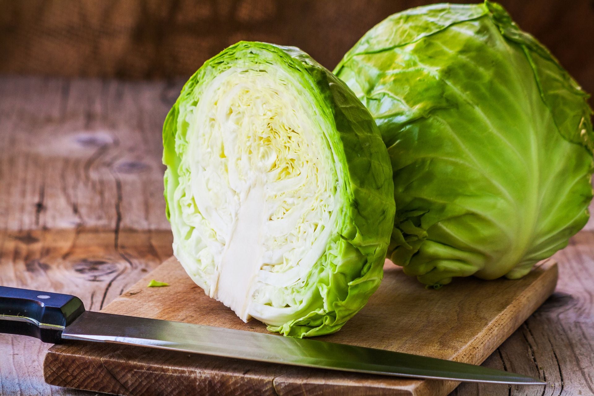 cabbage-varieties-green-cabbage