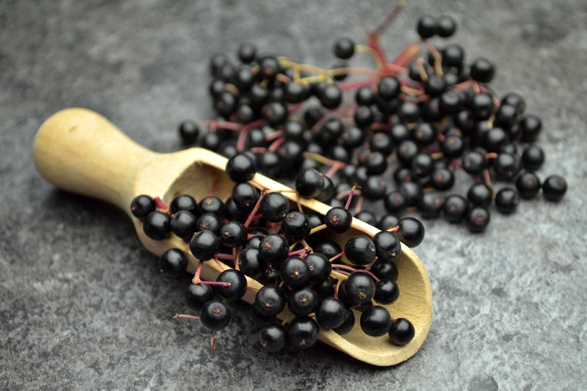 elderberries©iStock
