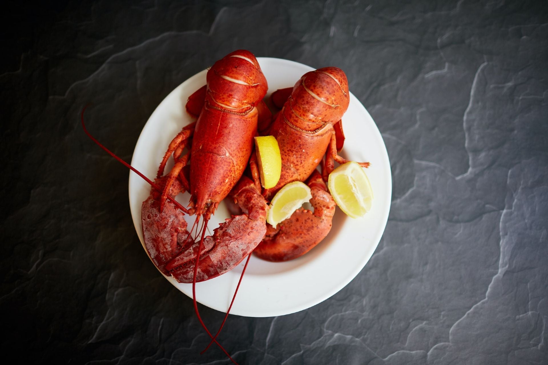 two fresh lobsters on a plate