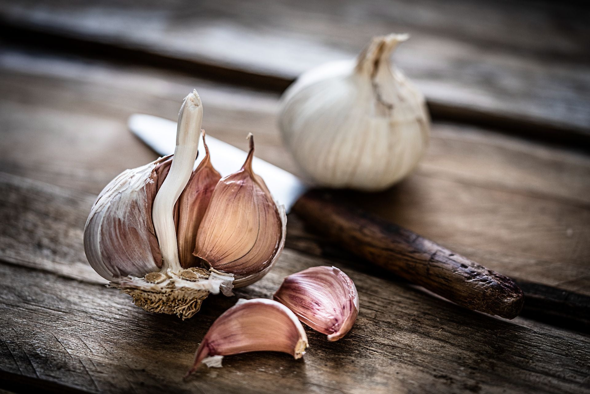garlic-skin-how-to-use©iStock