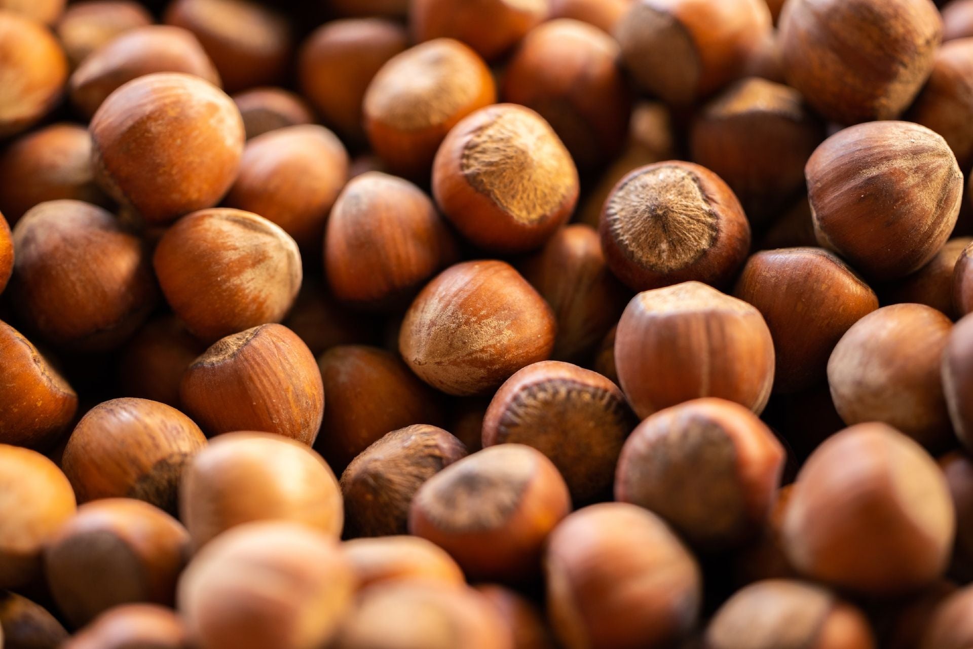 an overhead shot of a heap of hazelnuts in their shells