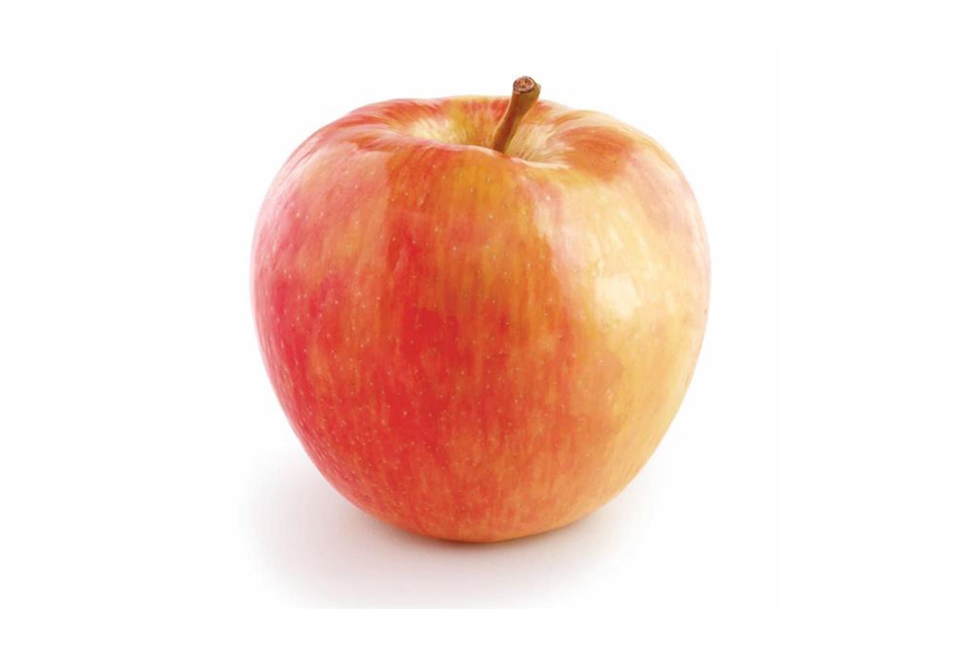 honeycrisp apple