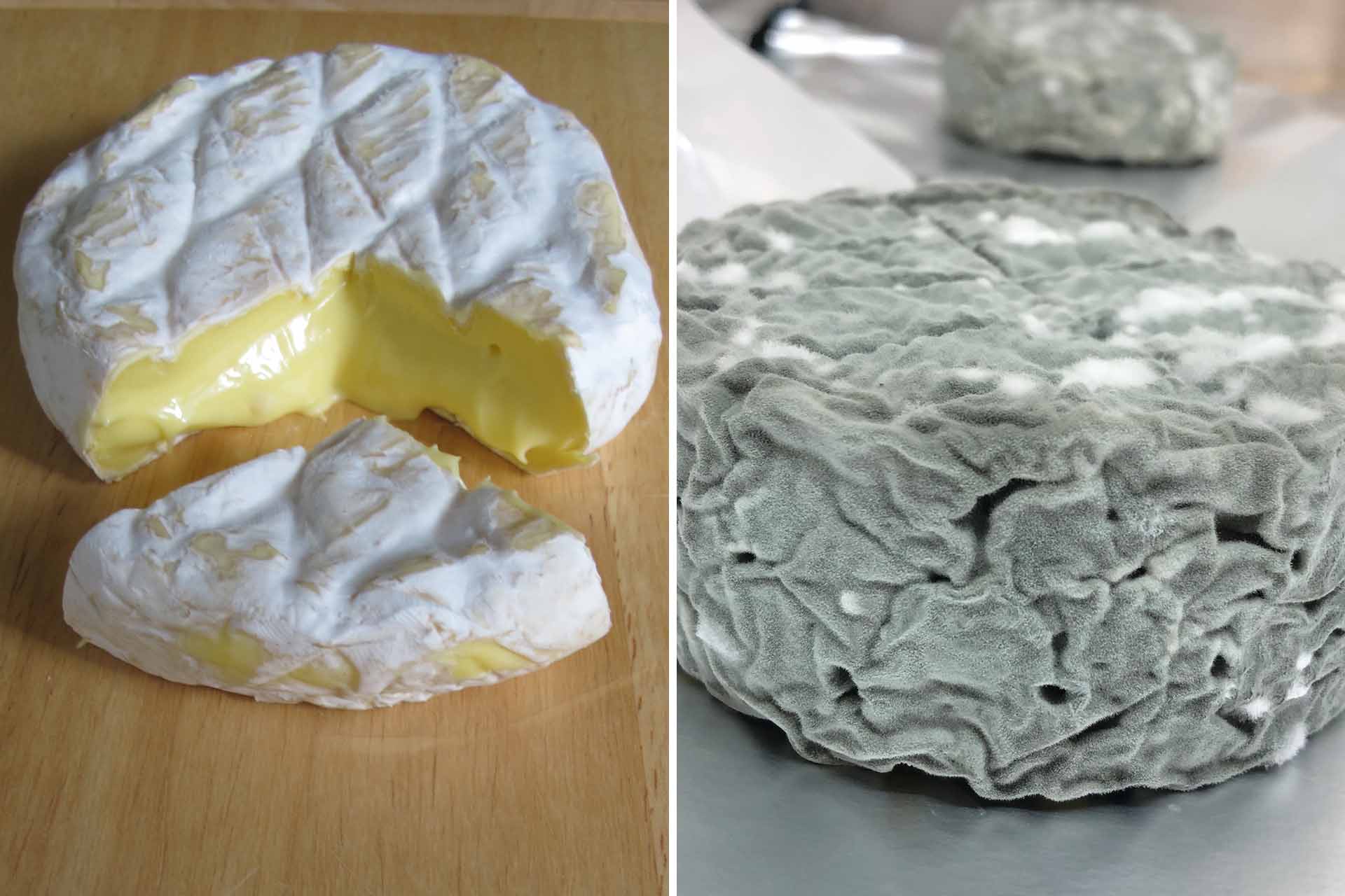 IOW Cheese Company cheeses.