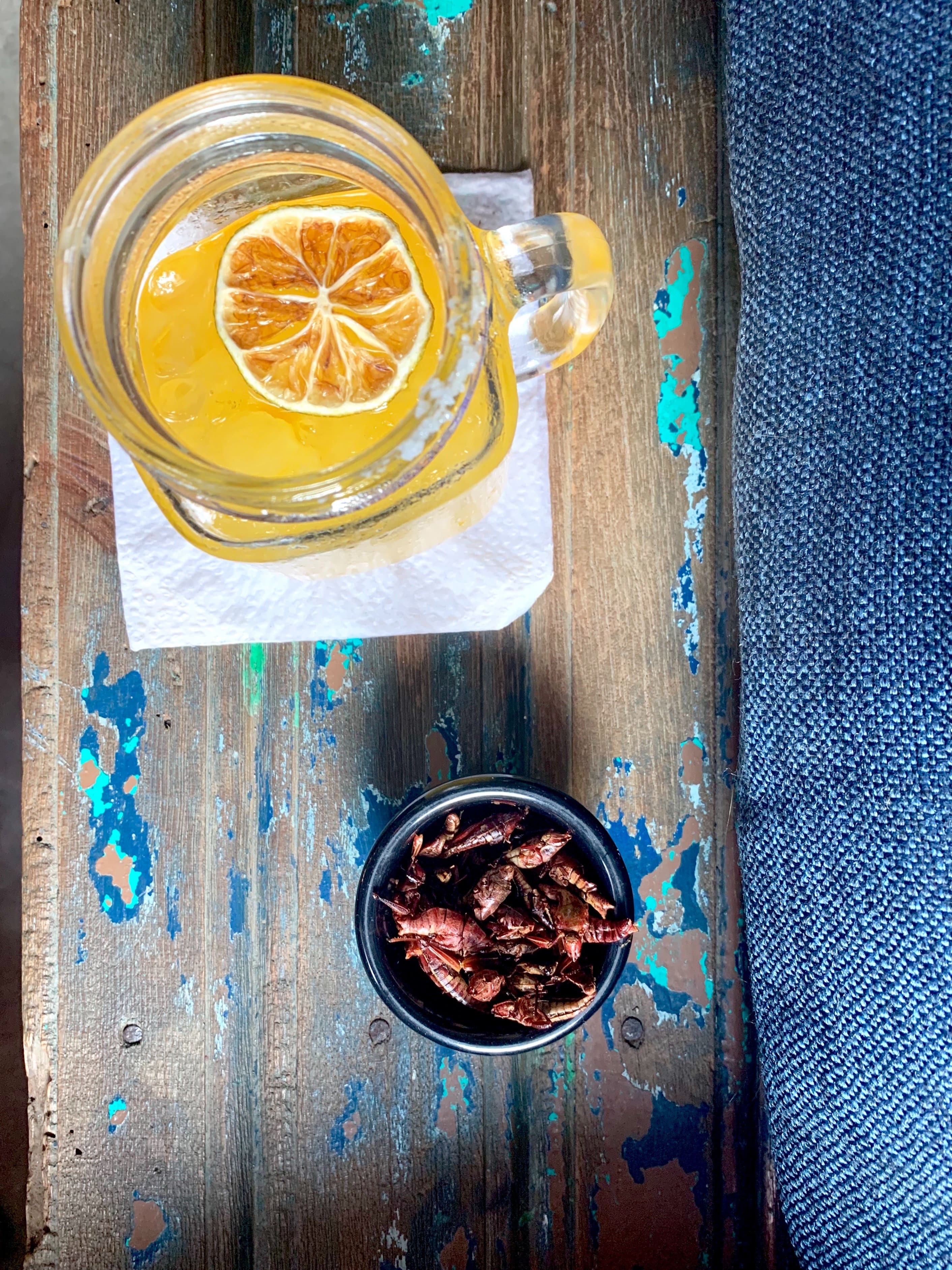 bowl-of-insects-crickets-jonathan-beckman-unsplash