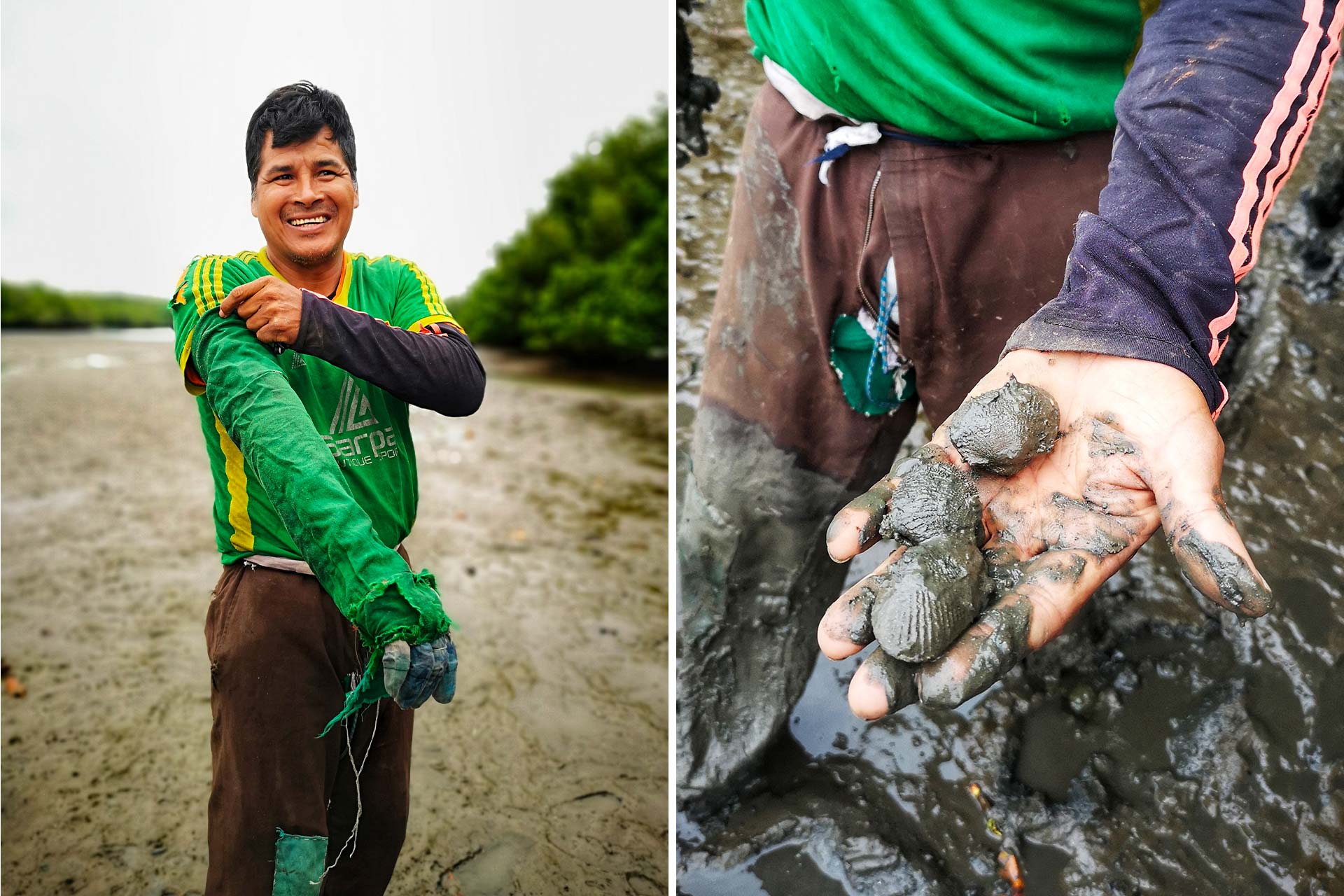 Local fisherman prepare to catch some black clams