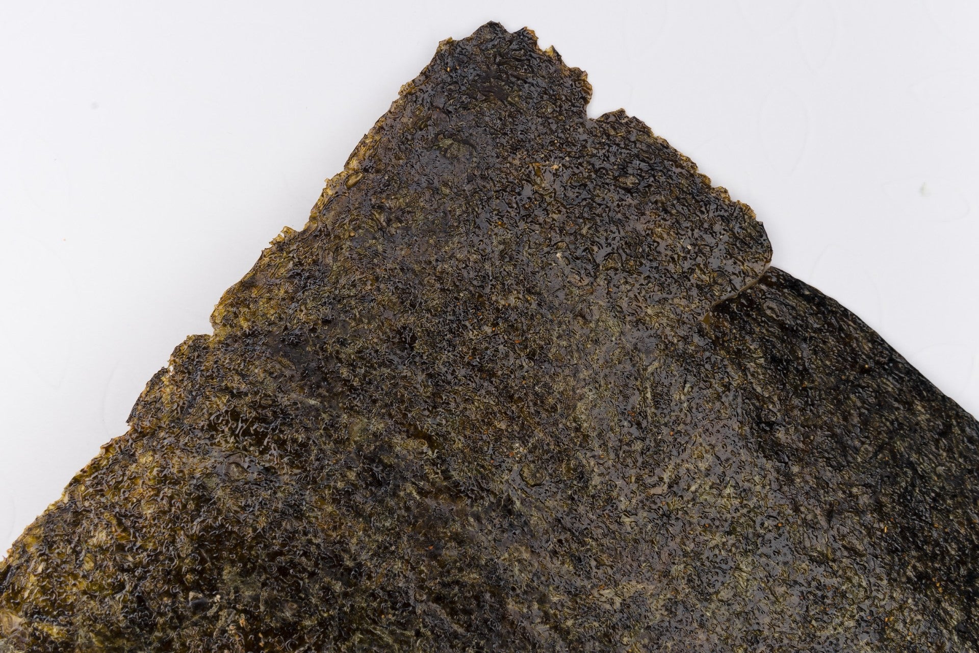 nori