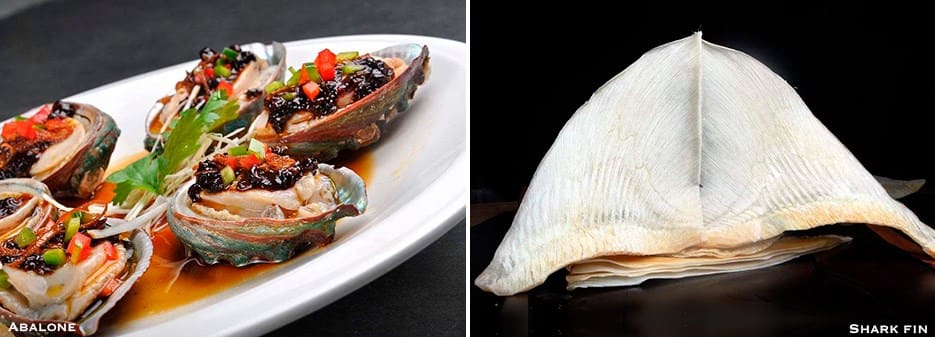 Dried Abalone | Dried Shark Fin