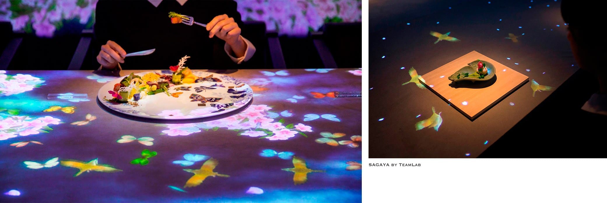 Sagaya Restaurant: TeamLab's project Sagaya Restaurant: TeamLab's project