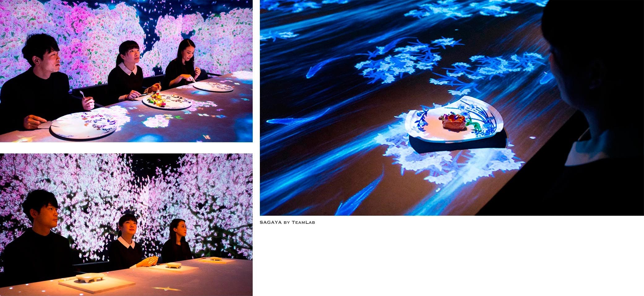 TeamLab for Sagaya TeamLab for Sagaya