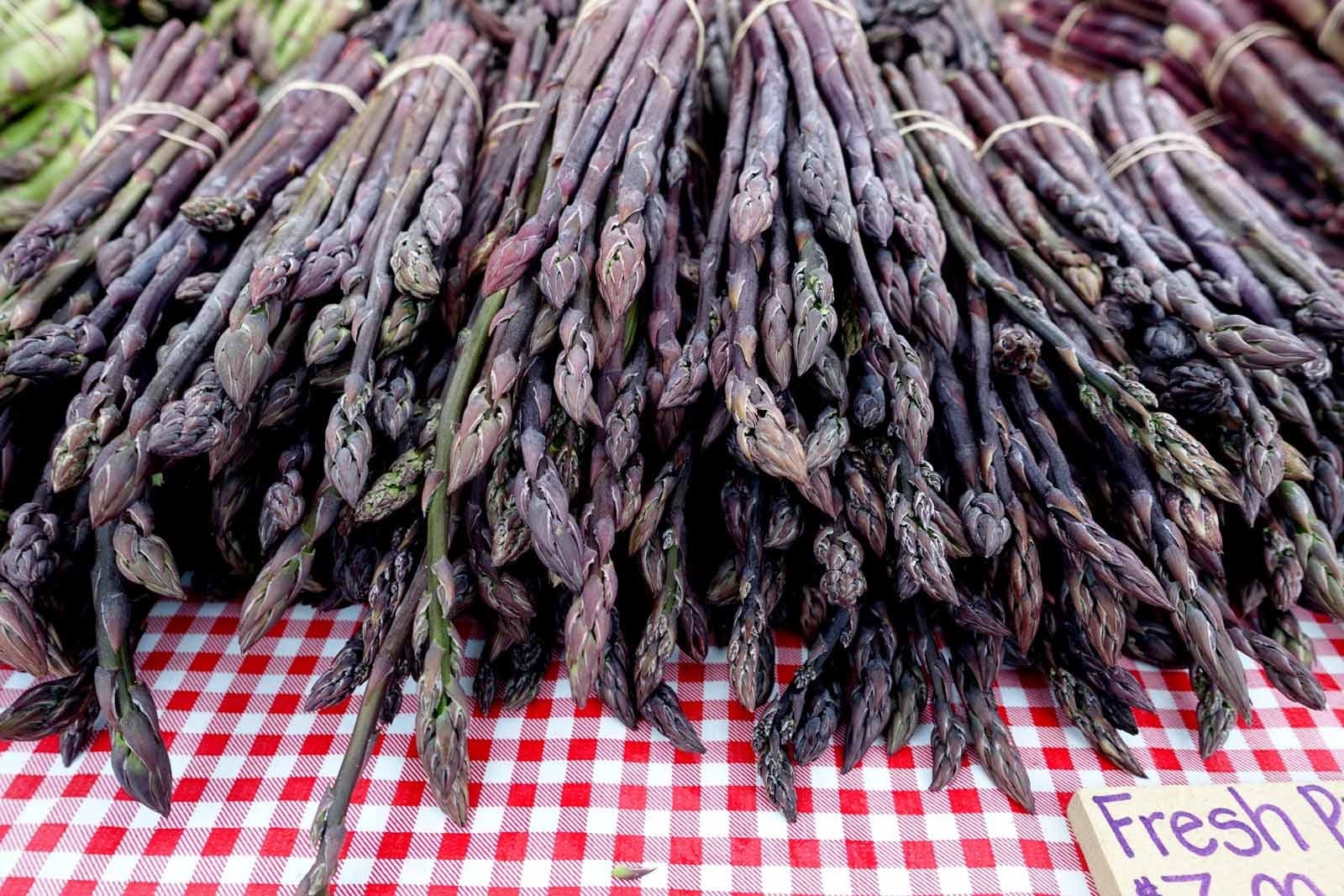 17190044947_a4a5f82050_h