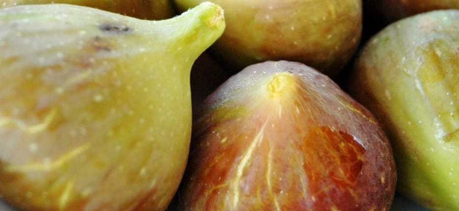 6031407251_11c39d9519_o