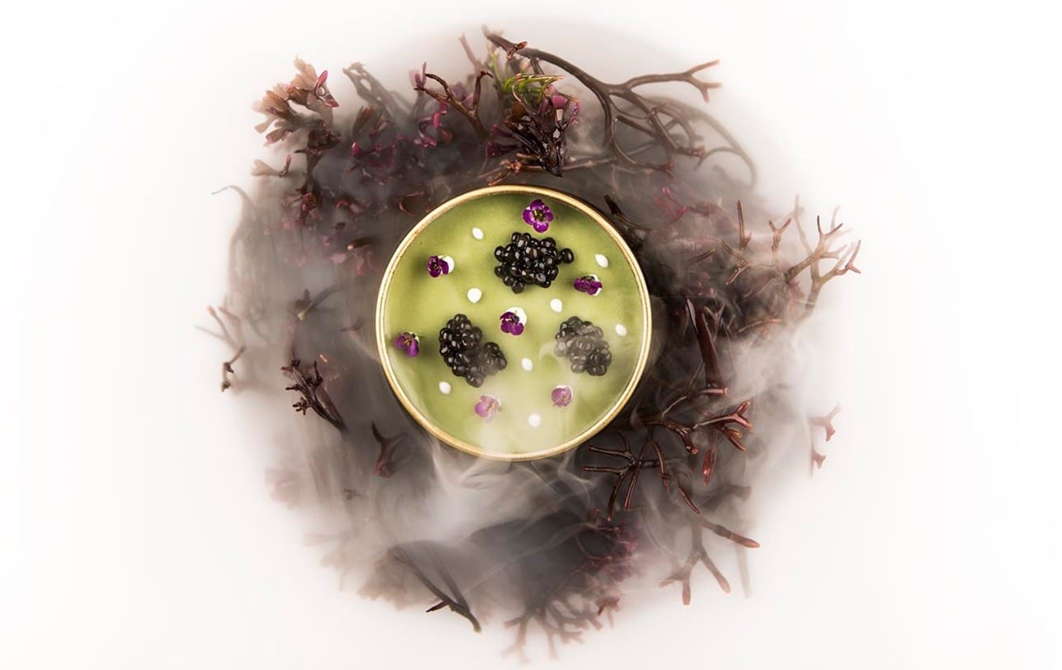 Aponiente-dish-8 Aponiente-dish-8