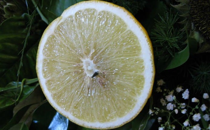 Bergamot Orange