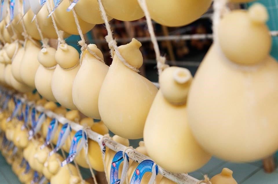 Caciocavallo Caciocavallo