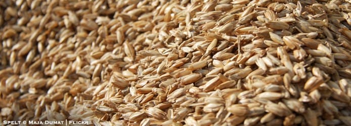 F-Spelt