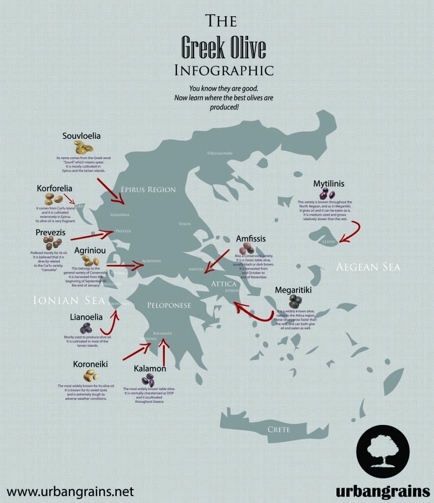 Greek Olive Map
