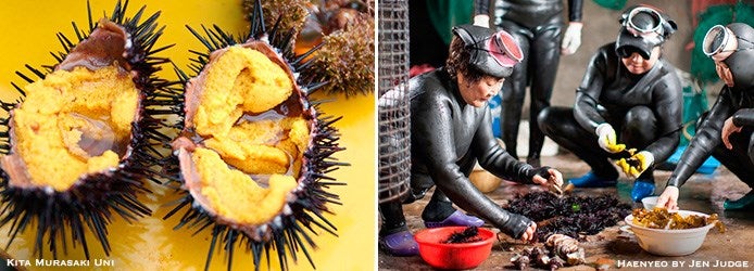 Kita-Murasaki-Uni | Haenyeo: Jeju Women Divers