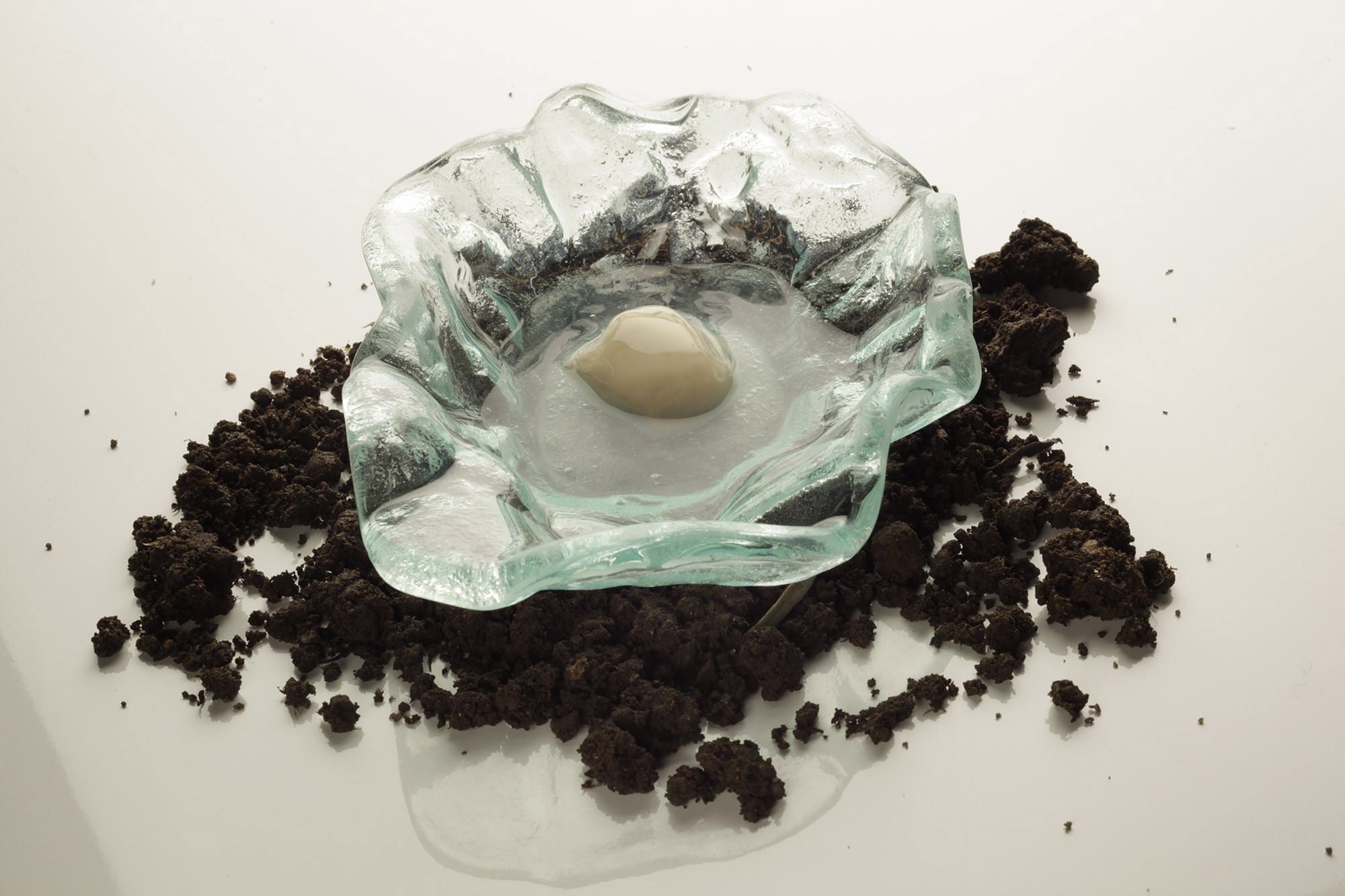 Oyster and Distilled Soil