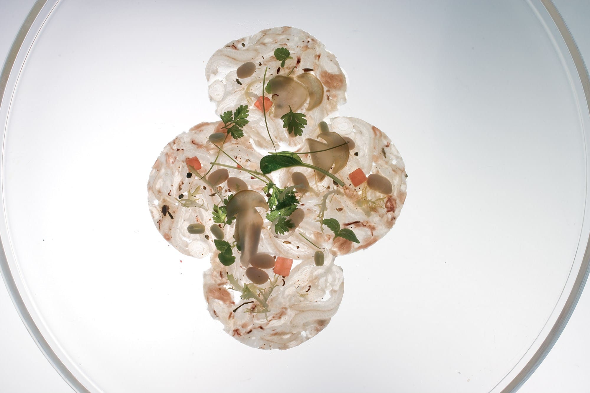 Pig Trotter Carpaccio