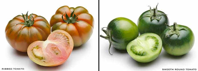 Pachino Ribbed | Smooth Round Tomato Pachino Ribbed | Smooth Round Tomato