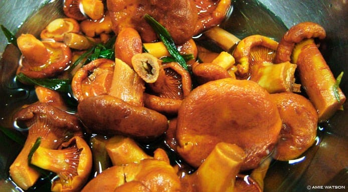 Champagne Vinegar and Tarragon Infused Chanterelles_amie watson Champagne Vinegar and Tarragon Infused Chanterelles_amie watson