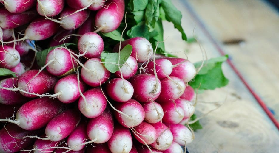 Radishes Radishes