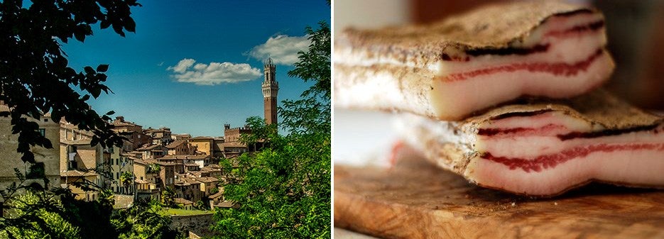 City of Siena | Tuscan Rigatino City of Siena | Tuscan Rigatino
