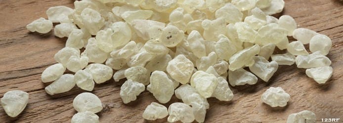 What are Resins | Tears Chios