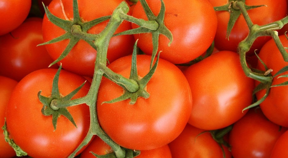 Tomatoes Tomatoes