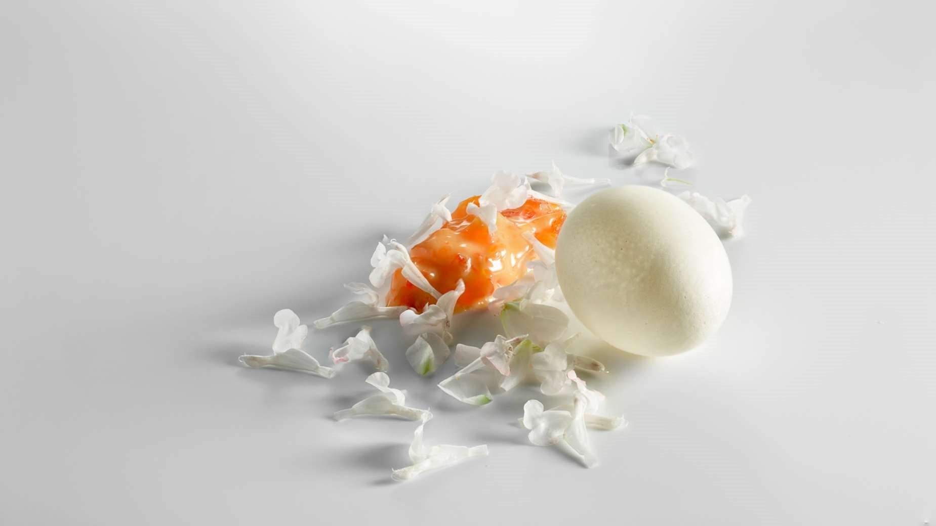 broken-egg-mugaritz