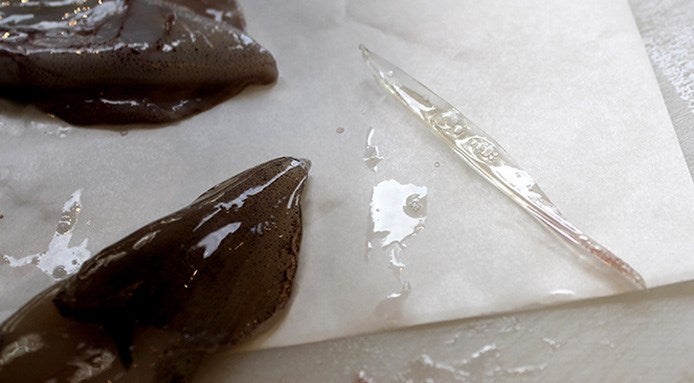 cartilagine-del-calamaro